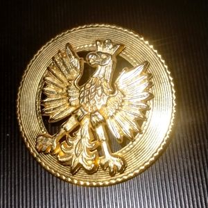 Military Gold Eagle brooch?
